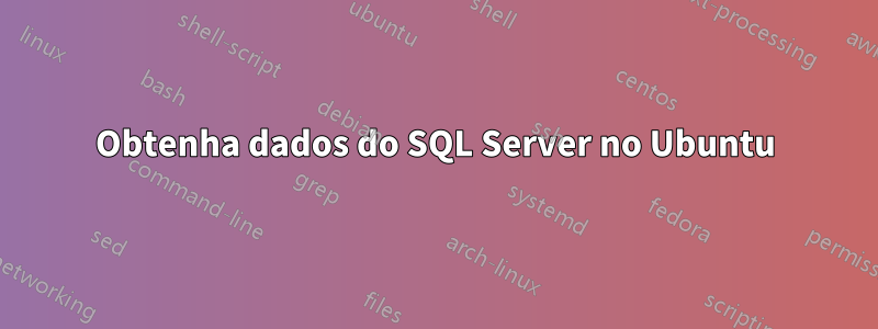 Obtenha dados do SQL Server no Ubuntu