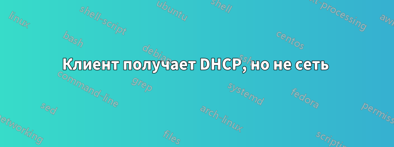 Клиент получает DHCP, но не сеть