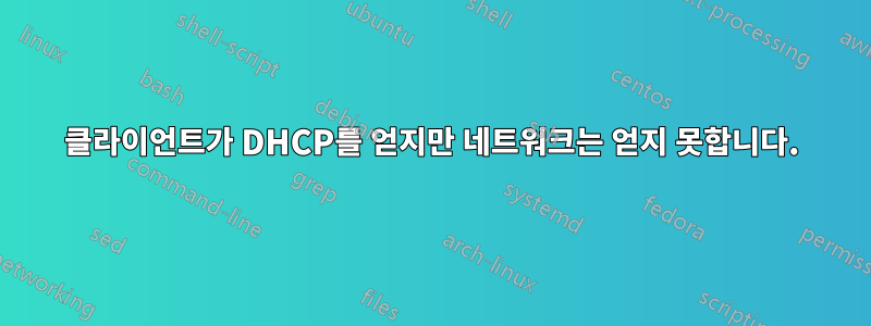 클라이언트가 DHCP를 얻지만 네트워크는 얻지 못합니다.