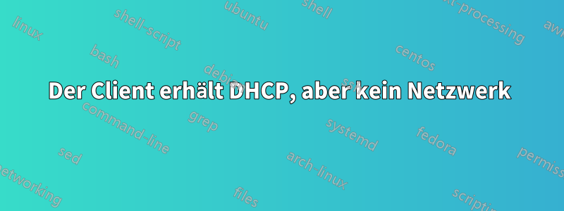 Der Client erhält DHCP, aber kein Netzwerk