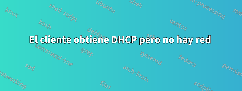 El cliente obtiene DHCP pero no hay red