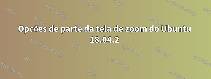 Opções de parte da tela de zoom do Ubuntu 18.04.2
