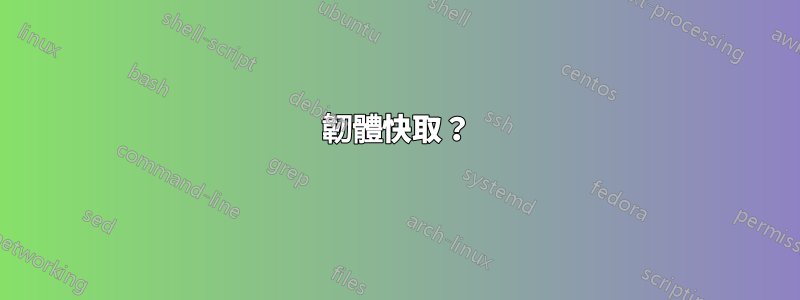 韌體快取？