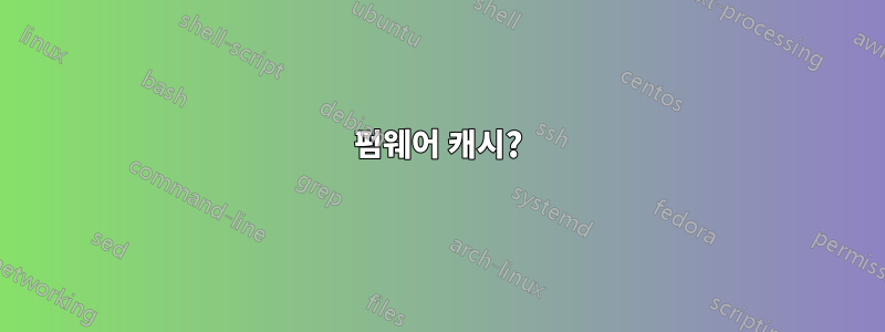 펌웨어 캐시?