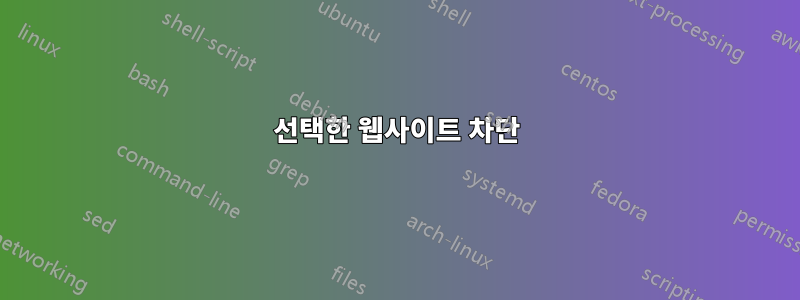 선택한 웹사이트 차단