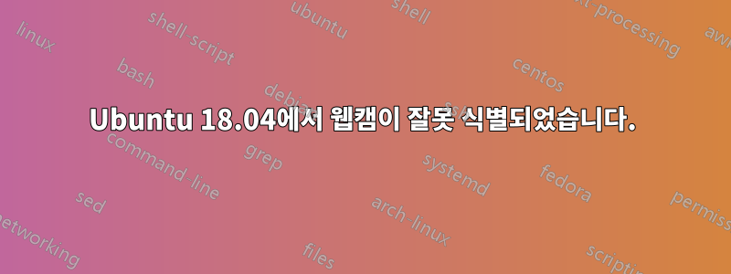 Ubuntu 18.04에서 웹캠이 잘못 식별되었습니다.