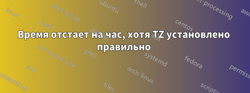 Время отстает на час, хотя TZ установлено правильно