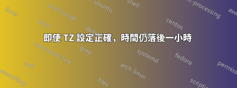 即使 TZ 設定正確，時間仍落後一小時