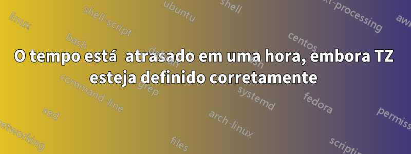 O tempo está atrasado em uma hora, embora TZ esteja definido corretamente