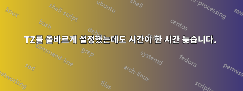 TZ를 올바르게 설정했는데도 시간이 한 시간 늦습니다.