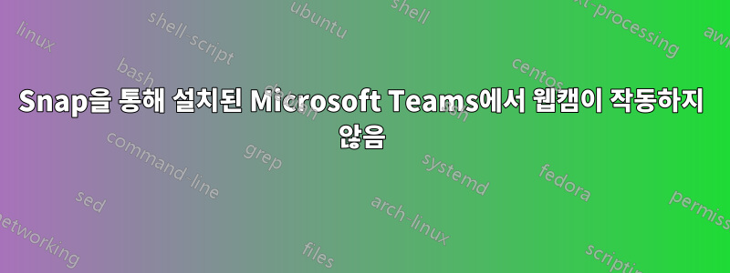 Snap을 통해 설치된 Microsoft Teams에서 웹캠이 작동하지 않음