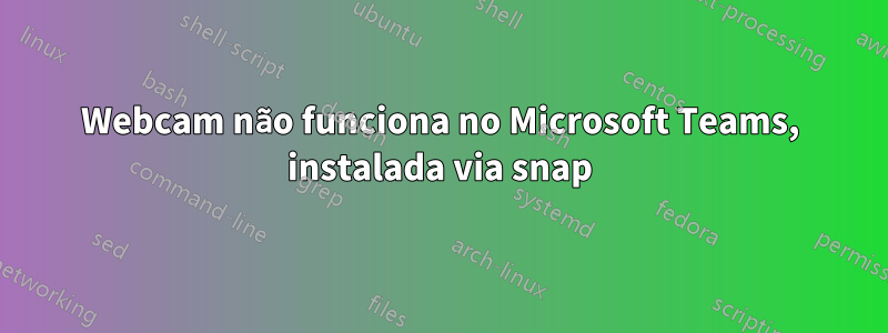 Webcam não funciona no Microsoft Teams, instalada via snap