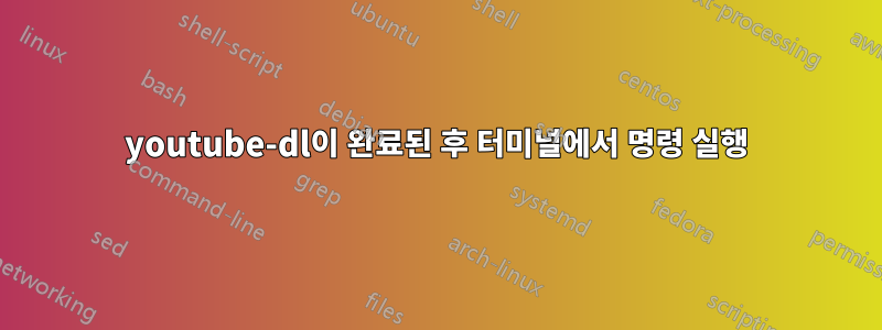 youtube-dl이 완료된 후 터미널에서 명령 실행
