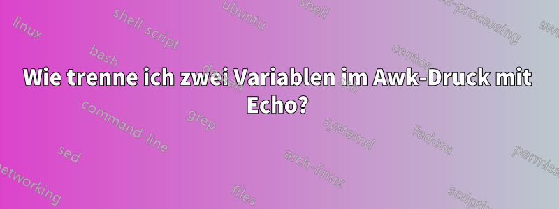 Wie trenne ich zwei Variablen im Awk-Druck mit Echo?