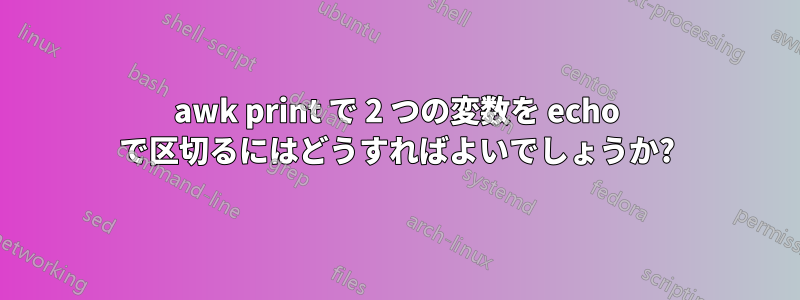 awk print で 2 つの変数を echo で区切るにはどうすればよいでしょうか?