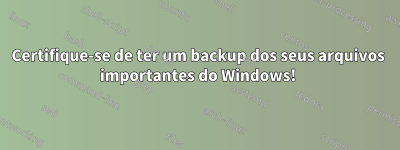 Certifique-se de ter um backup dos seus arquivos importantes do Windows!