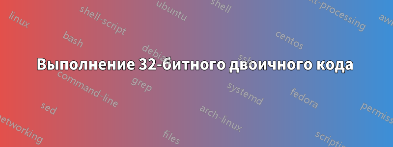 Выполнение 32-битного двоичного кода