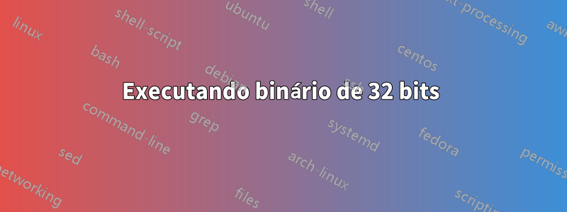 Executando binário de 32 bits
