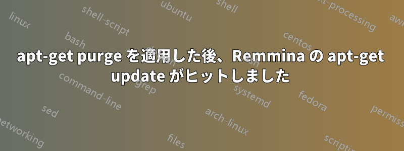 apt-get purge を適用した後、Remmina の apt-get update がヒットしました