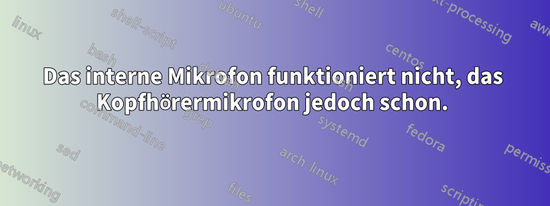 Das interne Mikrofon funktioniert nicht, das Kopfhörermikrofon jedoch schon.