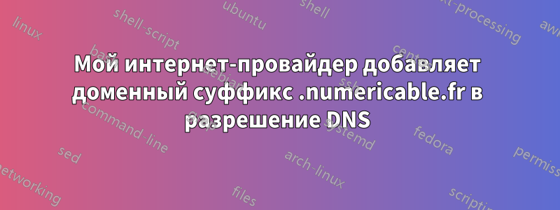 Мой интернет-провайдер добавляет доменный суффикс .numericable.fr в разрешение DNS