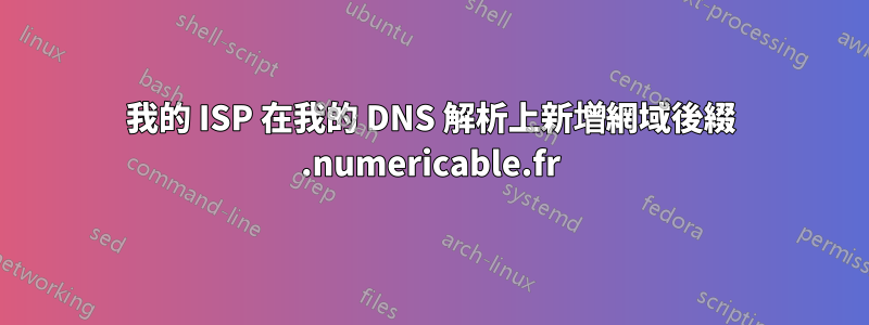 我的 ISP 在我的 DNS 解析上新增網域後綴 .numericable.fr