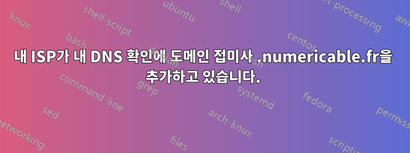 내 ISP가 내 DNS 확인에 도메인 접미사 .numericable.fr을 추가하고 있습니다.