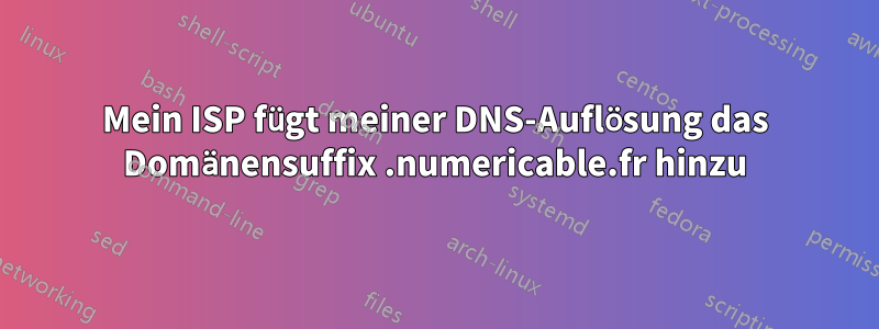 Mein ISP fügt meiner DNS-Auflösung das Domänensuffix .numericable.fr hinzu