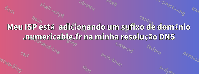 Meu ISP está adicionando um sufixo de domínio .numericable.fr na minha resolução DNS