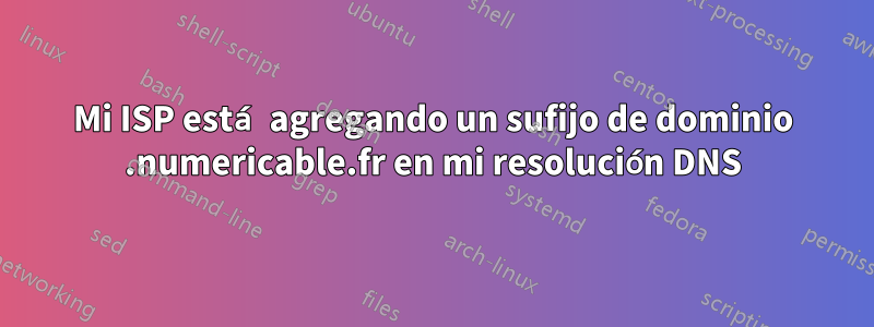 Mi ISP está agregando un sufijo de dominio .numericable.fr en mi resolución DNS