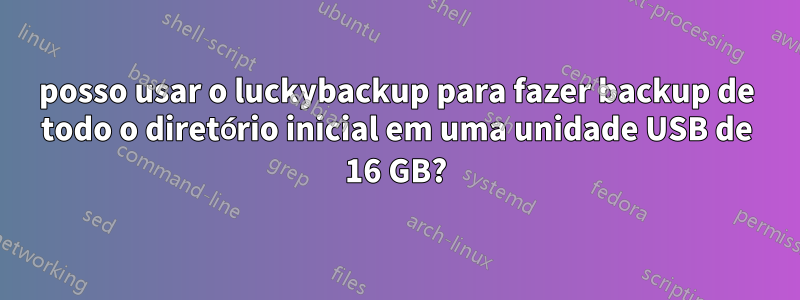 posso usar o luckybackup para fazer backup de todo o diretório inicial em uma unidade USB de 16 GB?