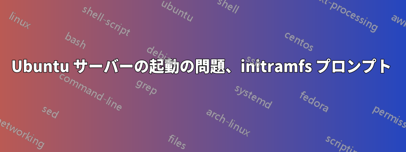 Ubuntu サーバーの起動の問題、initramfs プロンプト