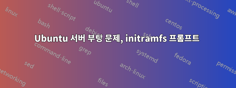 Ubuntu 서버 부팅 문제, initramfs 프롬프트