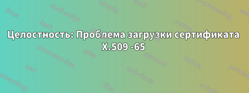 Целостность: Проблема загрузки сертификата X.509 -65