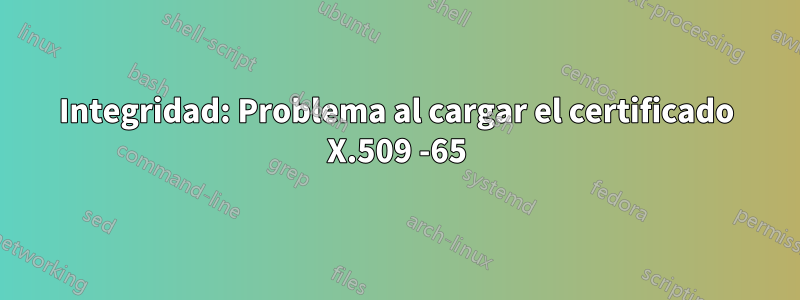 Integridad: Problema al cargar el certificado X.509 -65