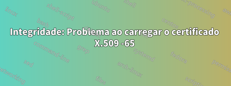 Integridade: Problema ao carregar o certificado X.509 -65