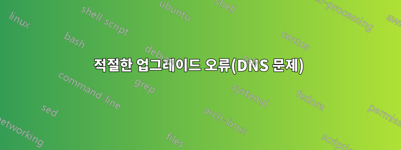 적절한 업그레이드 오류(DNS 문제)