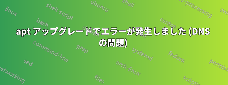 apt アップグレードでエラーが発生しました (DNS の問題)