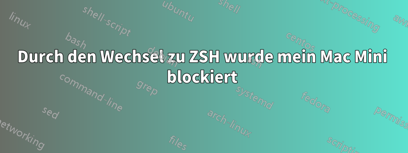 Durch den Wechsel zu ZSH wurde mein Mac Mini blockiert