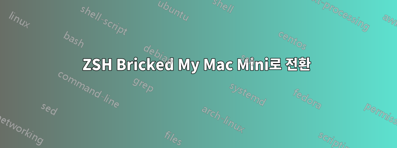 ZSH Bricked My Mac Mini로 전환