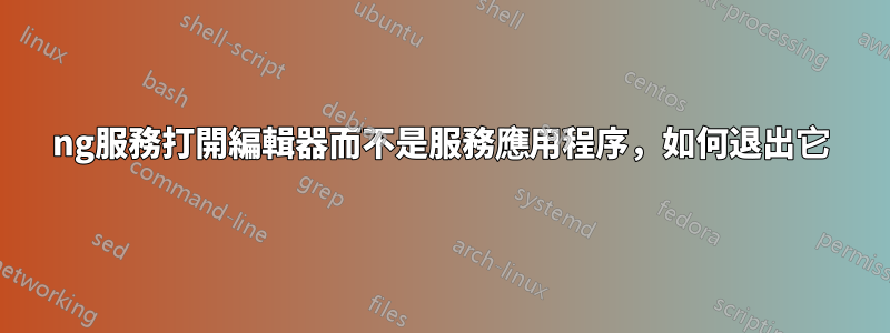 ng服務打開編輯器而不是服務應用程序，如何退出它