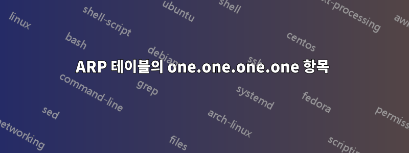 ARP 테이블의 one.one.one.one 항목