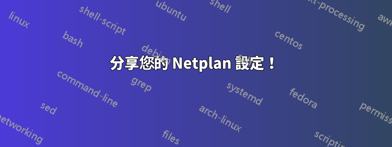 分享您的 Netplan 設定！