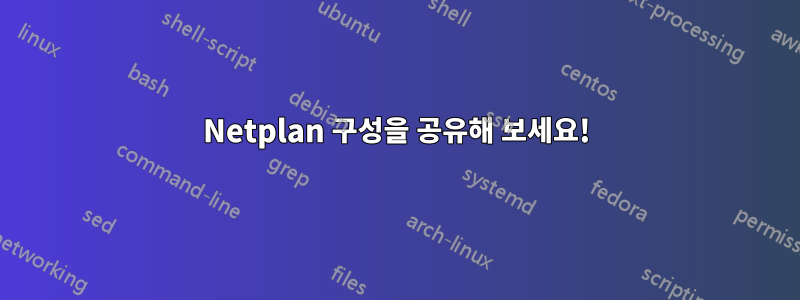 Netplan 구성을 공유해 보세요!