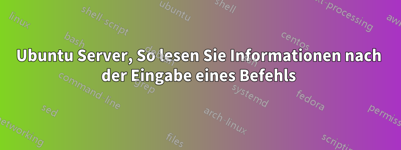 Ubuntu Server, So lesen Sie Informationen nach der Eingabe eines Befehls