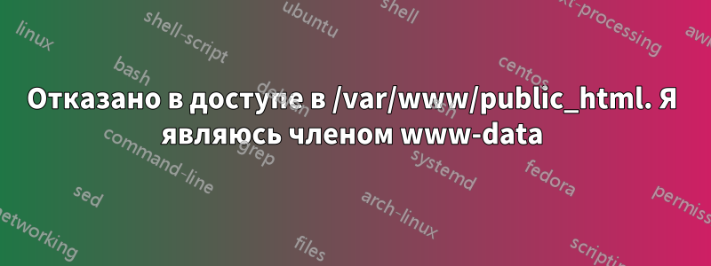 Отказано в доступе в /var/www/public_html. Я являюсь членом www-data