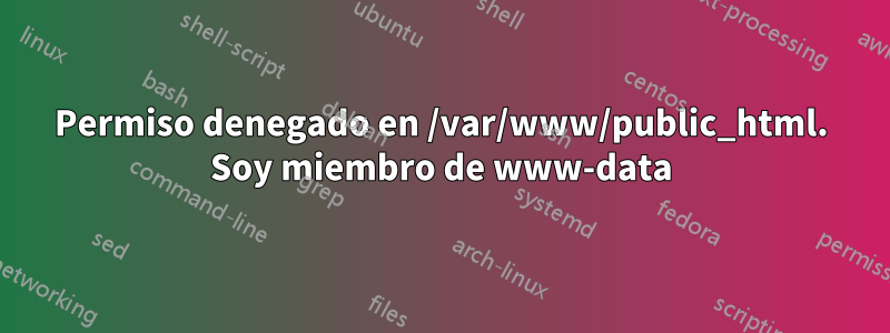 Permiso denegado en /var/www/public_html. Soy miembro de www-data