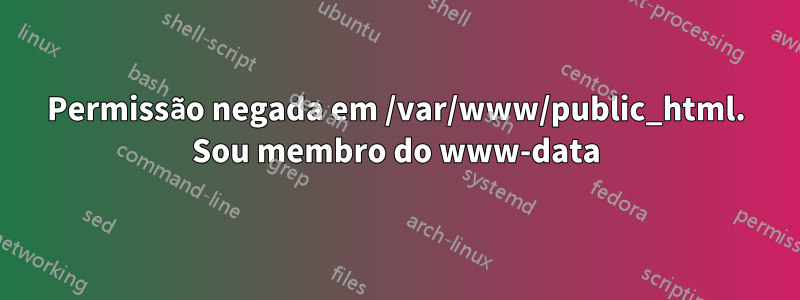 Permissão negada em /var/www/public_html. Sou membro do www-data