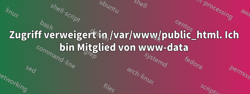 Zugriff verweigert in /var/www/public_html. Ich bin Mitglied von www-data