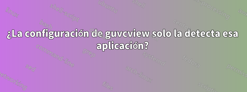 ¿La configuración de guvcview solo la detecta esa aplicación?